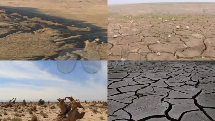 世界防止荒漠化和干旱日是啥时候-荒漠化与干旱：当今世界的重大挑战
