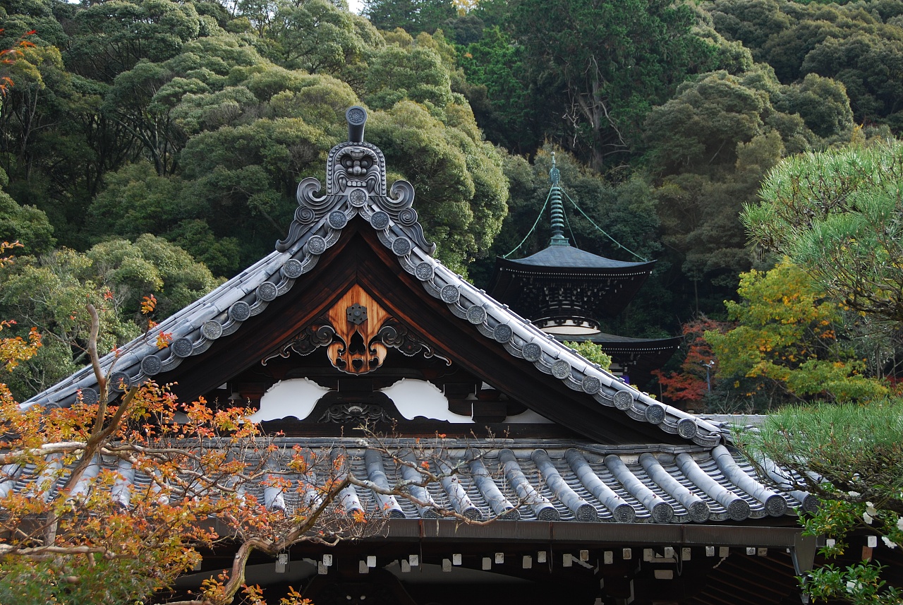 京都小住-京都，古老文化与自然之美