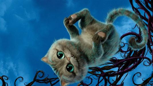 蓝猫妙想总动员：揭秘神秘世界的智慧与创造力