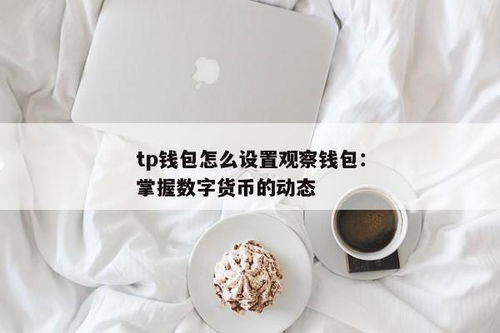 TP观察钱包的币怎么转出来,TP观察钱包的币怎么转出——详细指南